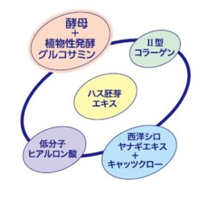 酵母＋植物性発酵グルコサミン、Ⅱ型コラーゲン、西洋シロヤナギエキス＋キャッツクロー、低分子ヒアルロン酸、ハス胚芽エキス